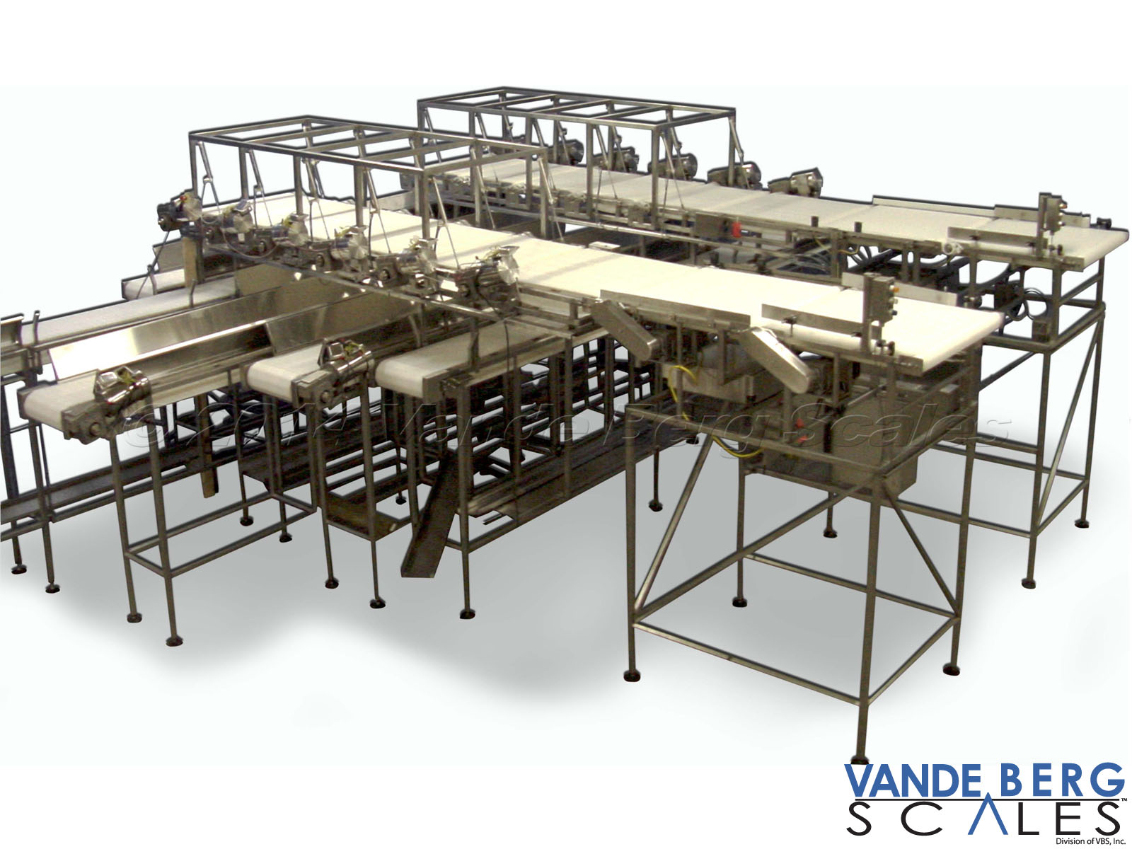 Dual Lane Loin Sortation System - Product is dropped onto the crossover conveyors which carry product to combos or other parts of the plant.